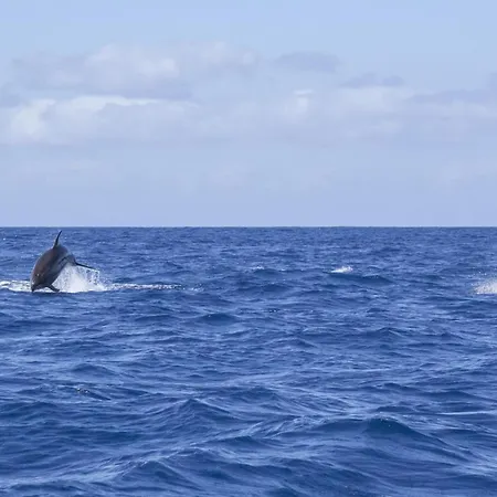 公寓 Graviana - Pedra Azul Charming House 拉戈阿