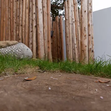 Graviana - Pedra Azul Charming House Apartment Lagoa (Azores)