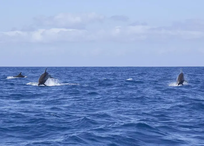 Apartmán Graviana - Pedra Azul Charming House Lagoa (Azores)