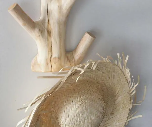 Graviana - Pedra Azul Charming House Apartmán Lagoa (Azores)