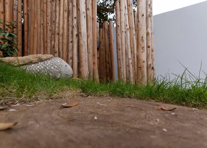 Graviana - Pedra Azul Charming House Apartmán Lagoa (Azores)