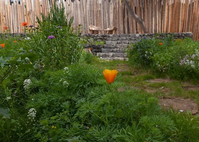 Graviana - Pedra Azul Charming House Lejlighed Lagoa (Azores)