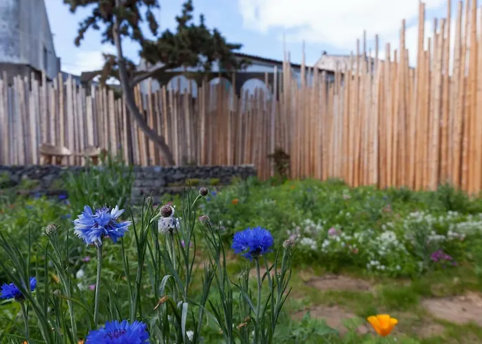 Graviana - Pedra Azul Charming House *